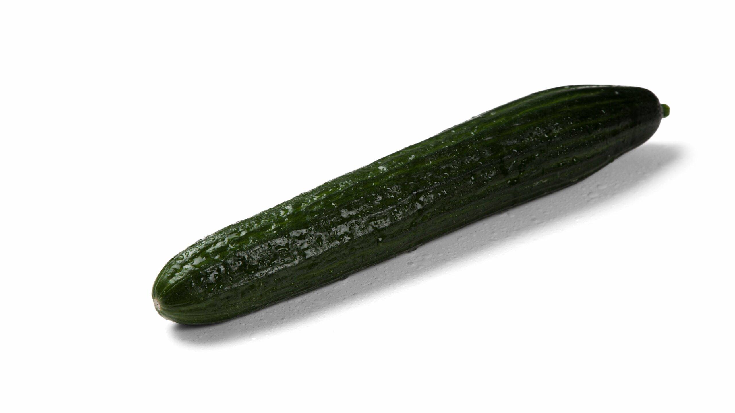 fito-pepino-bambu-caobado|fito-pepino-bambu-caobado